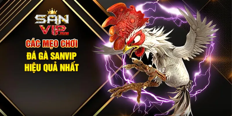 Mẹo Chơi Đá Gà Sanvip – Bí Quyết Tăng Cơ Hội Thắng Lớn Mẹo Chơi Đá Gà Sanvip Trong Hệ Sinh Thái Giải Trí