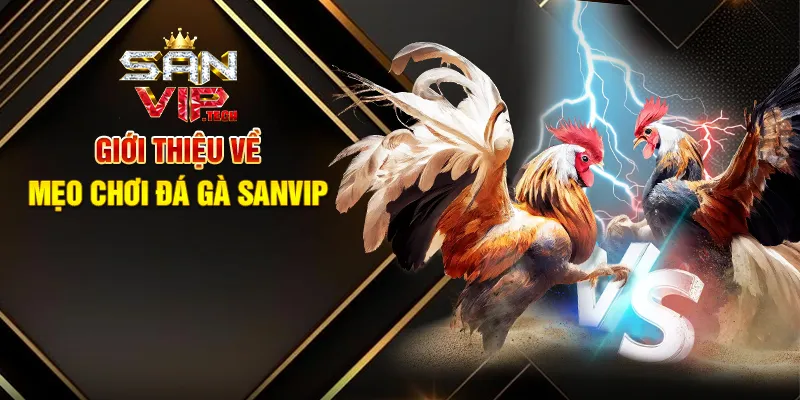Mẹo Chơi Đá Gà Sanvip – Bí Quyết Tăng Cơ Hội Thắng Lớn Giới Thiệu Về Mẹo Chơi Đá Gà Sanvip