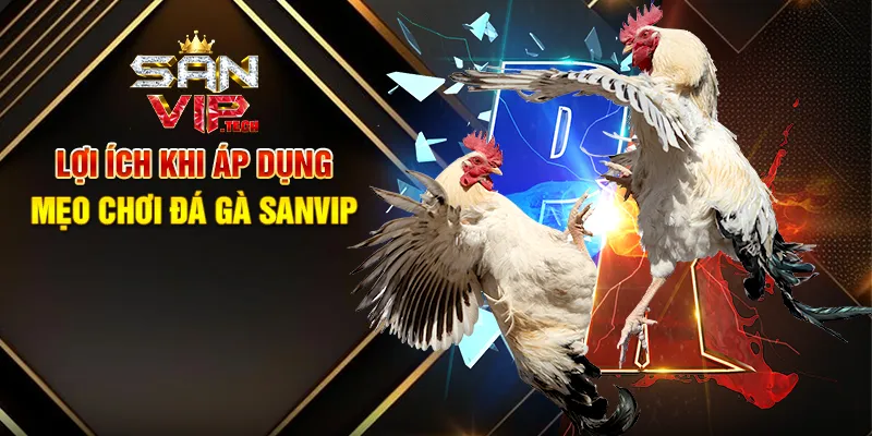 Mẹo Chơi Đá Gà Sanvip – Bí Quyết Tăng Cơ Hội Thắng Lớn Lợi Ích Khi Áp Dụng Mẹo Chơi Đá Gà Sanvip