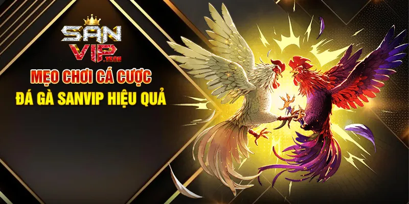 Cá Cược Đá Gà Sanvip – Trải Nghiệm Giải Trí Kịch Tính Và Hấp Dẫn Mẹo Chơi Cá Cược Đá Gà Sanvip Hiệu Quả