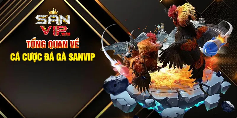 Cá Cược Đá Gà Sanvip – Trải Nghiệm Giải Trí Kịch Tính Và Hấp Dẫn Tổng Quan Về Cá Cược Đá Gà Sanvip