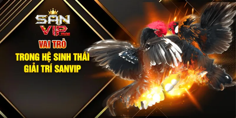 Cá Cược Đá Gà Sanvip – Trải Nghiệm Giải Trí Kịch Tính Và Hấp Dẫn Vai Trò Trong Hệ Sinh Thái Giải Trí Sanvip